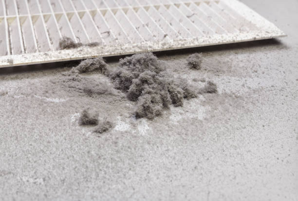 Best Dryer Vent Cleaning Services  in Warner Robins, GA