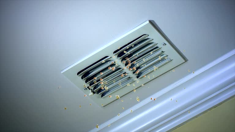 Best Affordable HVAC Duct Cleaning  in Warner Robins, GA