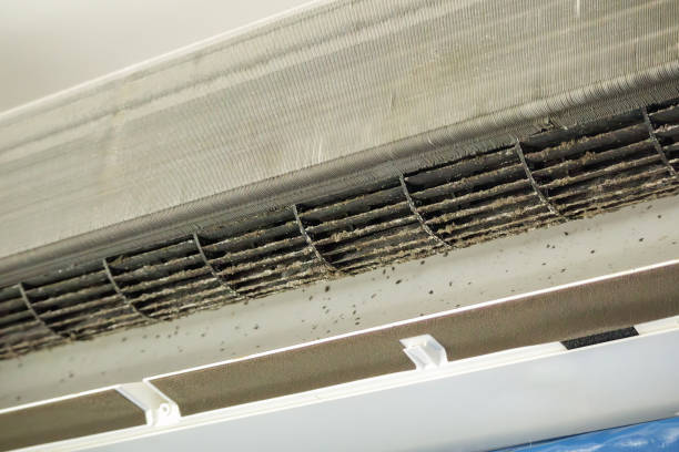 Best Ventilation Cleaning Services  in Warner Robins, GA